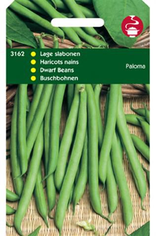 Hortitops Stamslabonen Phaseolus Vulgaris L. Paloma - Groentezaden Hortitops Stamslabonen Phaseolus Vulgaris L. Paloma - Groentezaden