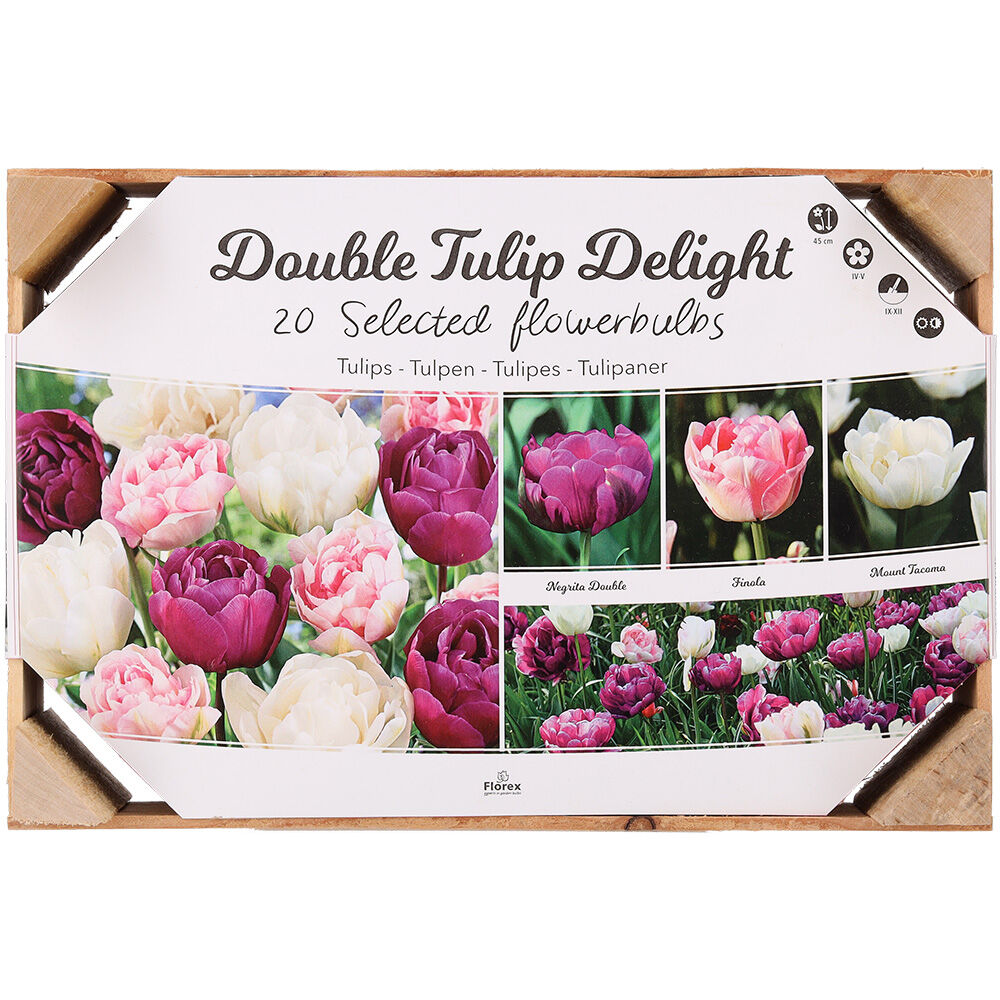 Florex Tulpen Bloembollen mix - in Kistje Florex Tulpen Bloembollen mix - in Kistje