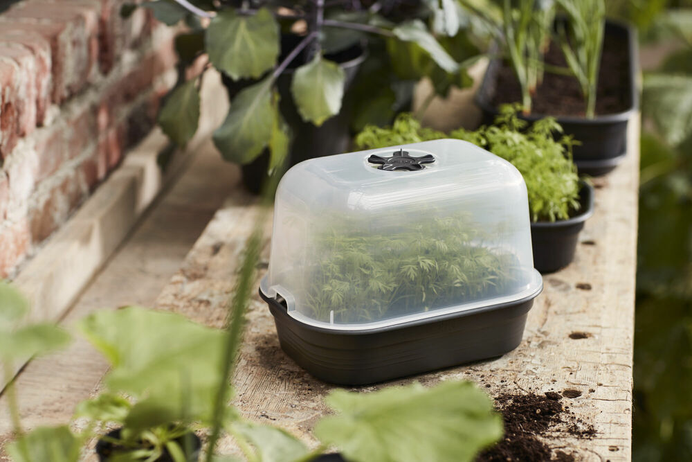 Elho Green Basics Kweekkap 24x17cm - Kweekbenodigdheden - 12x16.5x23.5 cm