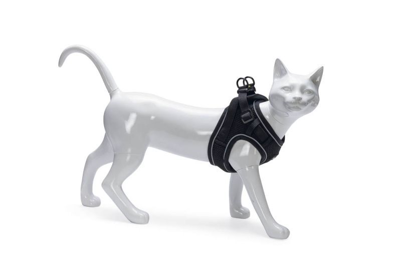 Beeztees Parinca - Kattentuigje - 31 cm - Zwart - S-M