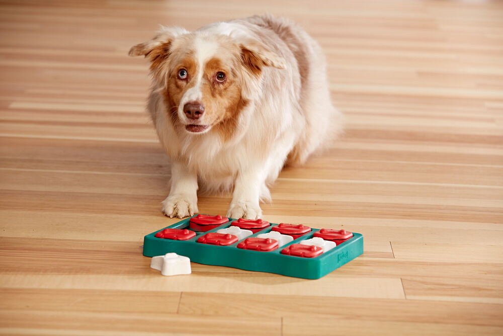 Nina Ottoson Dog Brick - Puzzel - Hondenspeelgoed - blauw - 5x23x32 cm