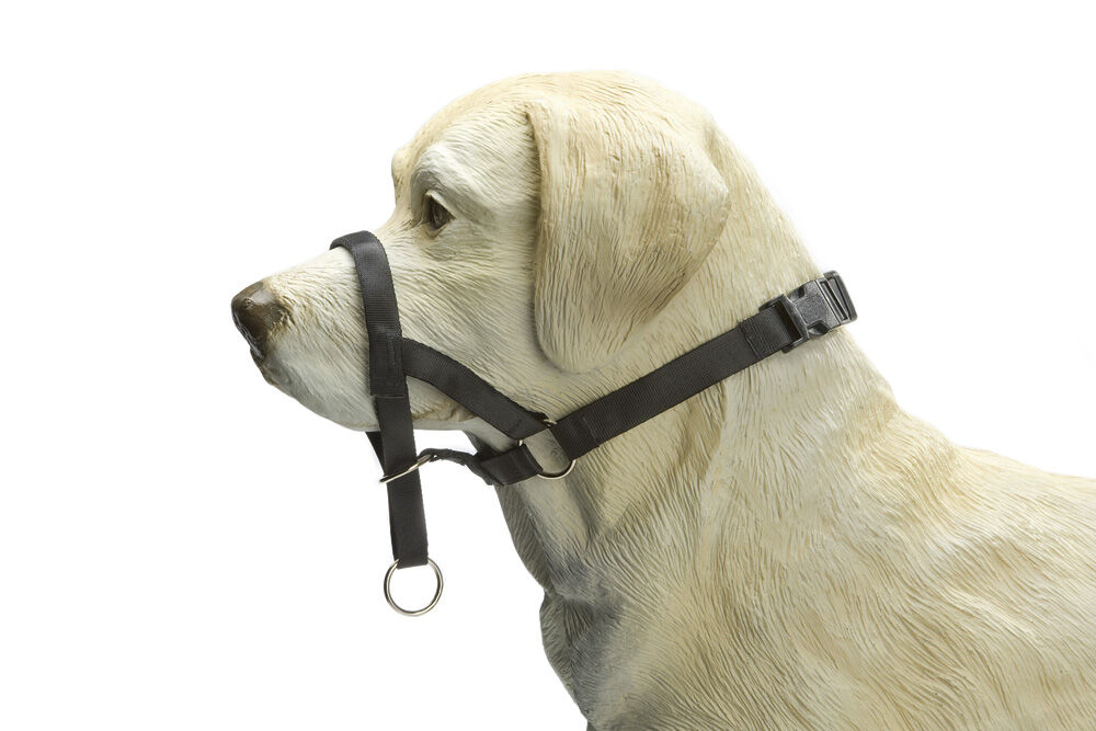 Beeztees Dog Control - Correctiehalsband Hond