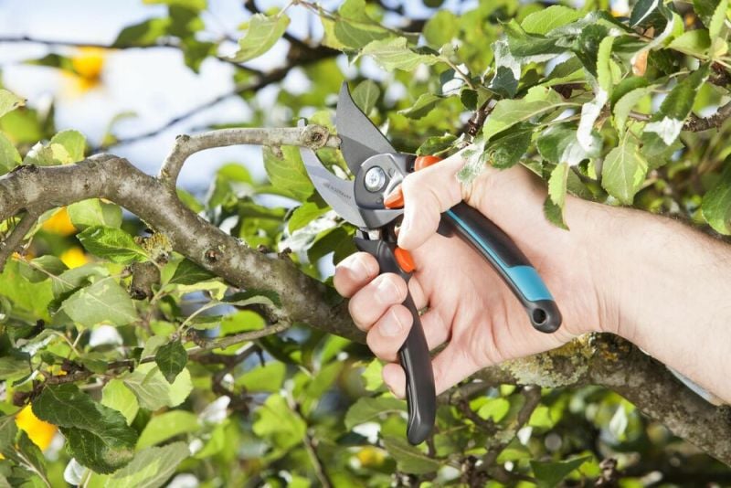 Gardena Comfort B/S-XL - Snoeischaar