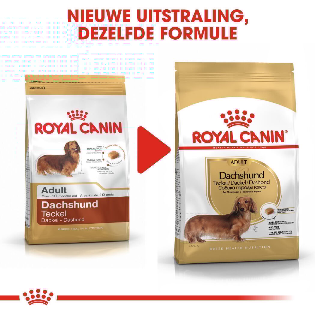 Royal Canin BHN Dachshund Adult -  Hondenvoer - 7500 - gevogelte