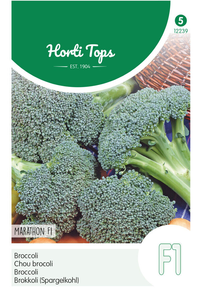 Hortitops Broccoli Brassica oleracea Marathon F1 - Groentezaden Hortitops Broccoli Brassica oleracea Marathon F1 - Groentezaden