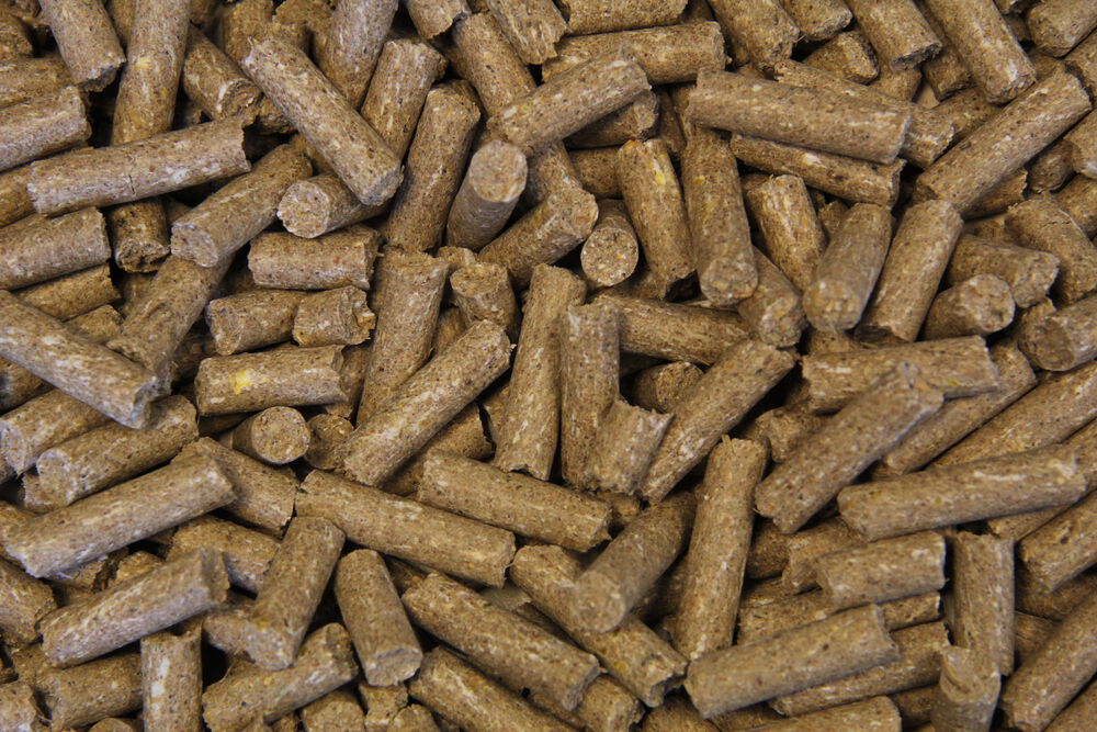 Voermeesters Sport vitaal - Sport/ Prestatie - 20 kg - Zak