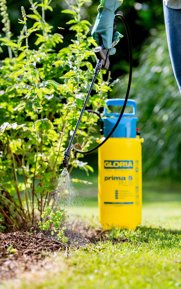 Gloria Prima 5 Plus - Drukspuit - 5 l