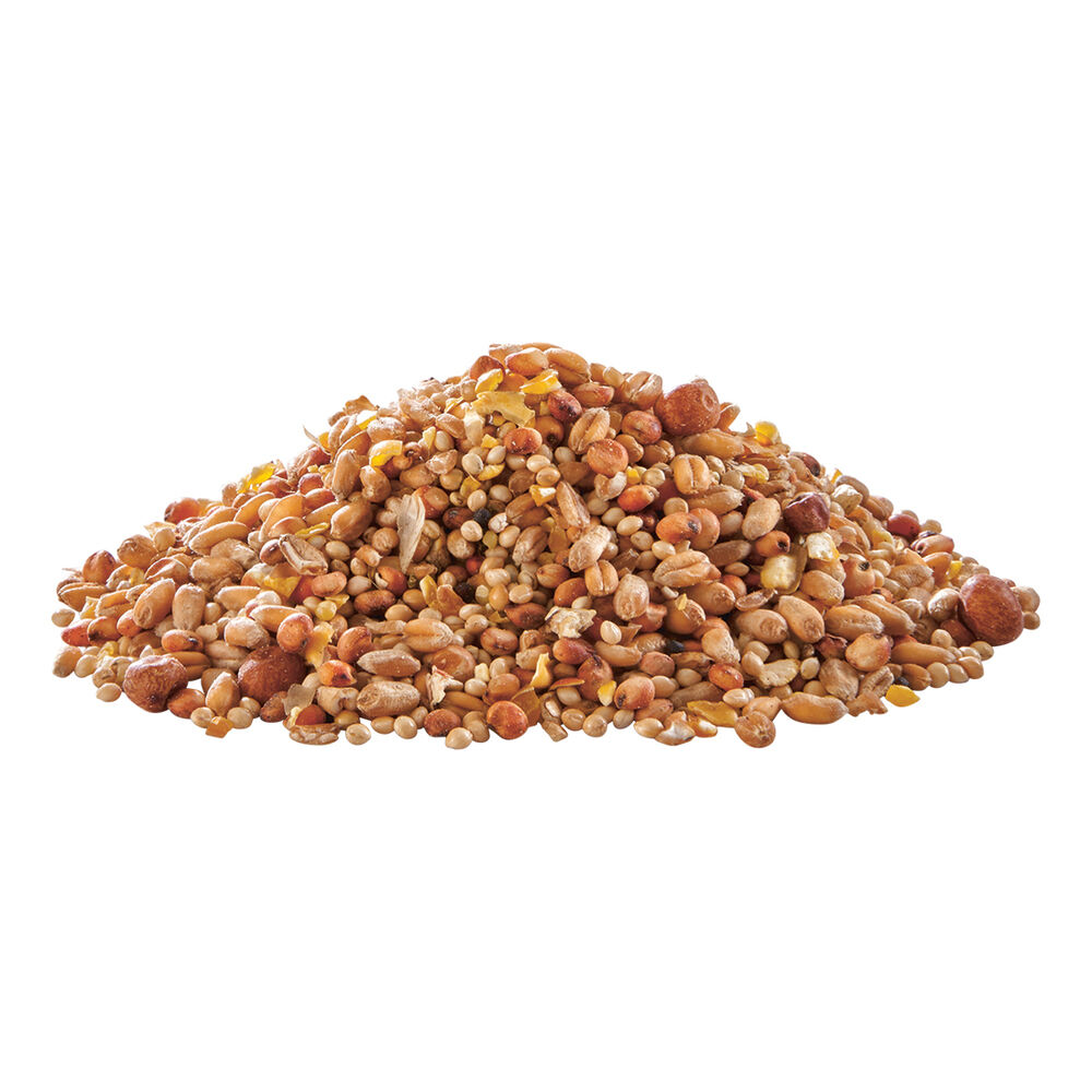 Welkoop Gemengd graan - Watervogelvoer - 20