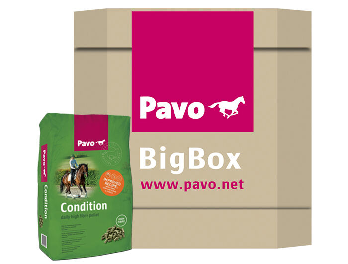Pavo Condition - Basisvoeding - Paardenvoer - 725 kg - Bigbox
