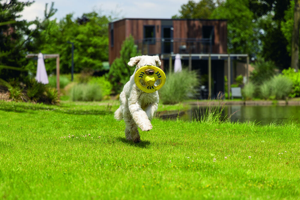 Beeztees Tof - Frisbee Fetch - Hondenspeelgoed - Geel - 34x24x2 cm