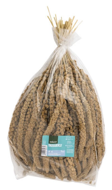 Welkoop Trosgierst - Snacks Welkoop Trosgierst - Snacks