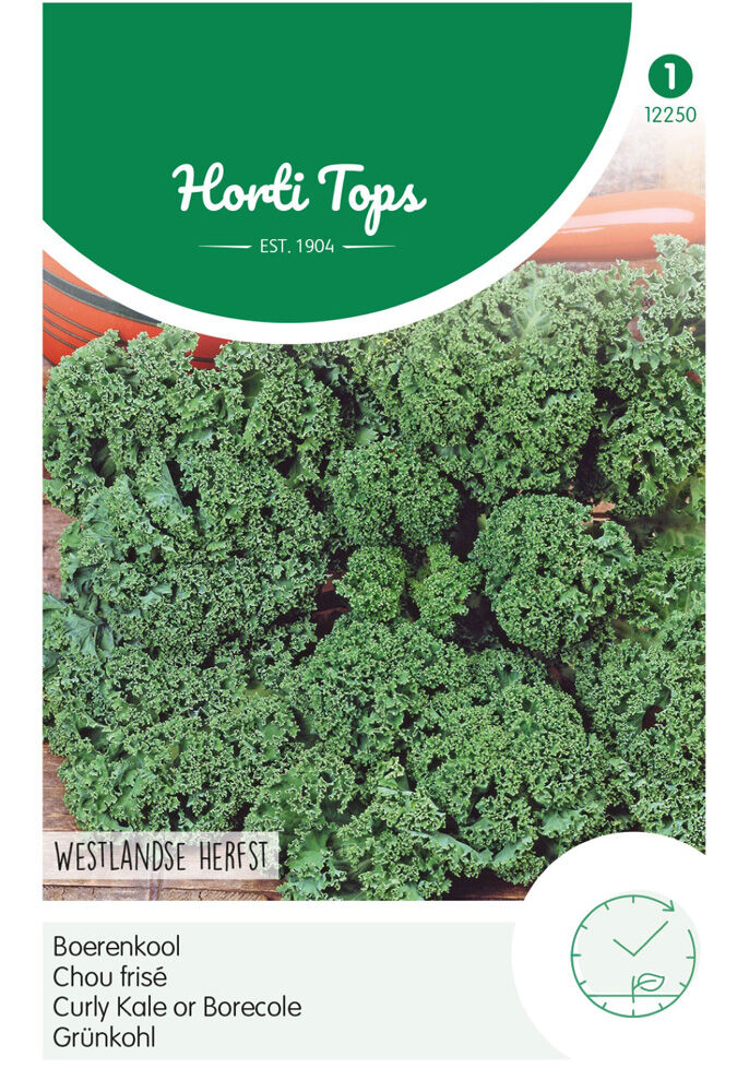Hortitops Boerenkool Brassica oleracea Westlandse Herfst, laat type - Groentezaden Hortitops Boerenkool Brassica oleracea Westlandse Herfst, laat type - Groentezaden