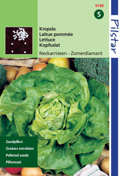 Hortitops Neckarriesen Zomerdiamant Zaadpillen - Kropsla Hortitops Neckarriesen Zomerdiamant Zaadpillen - Kropsla