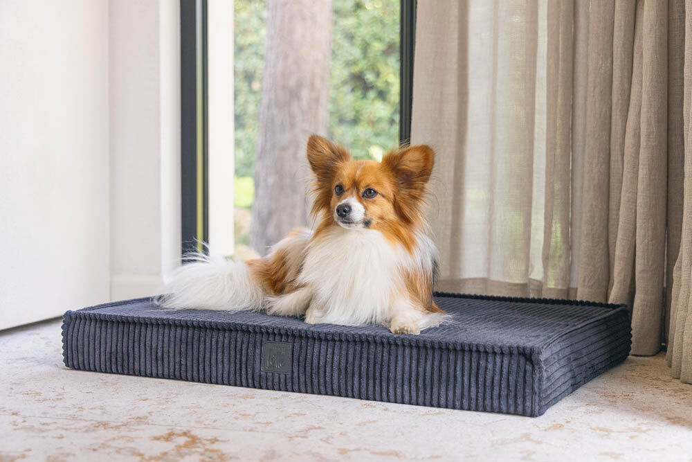 Designed by Lotte Ribbed Orthopedisch - Benchkussen - Antraciet - 8x53x76 cm - Klein