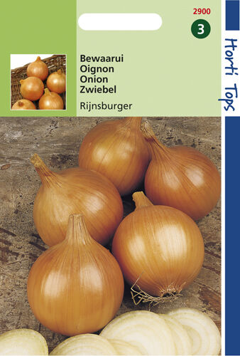 Hortitops Uien Allium cepa Rijnsburger, Bolronde Gele - Uien Hortitops Uien Allium cepa Rijnsburger, Bolronde Gele - Uien