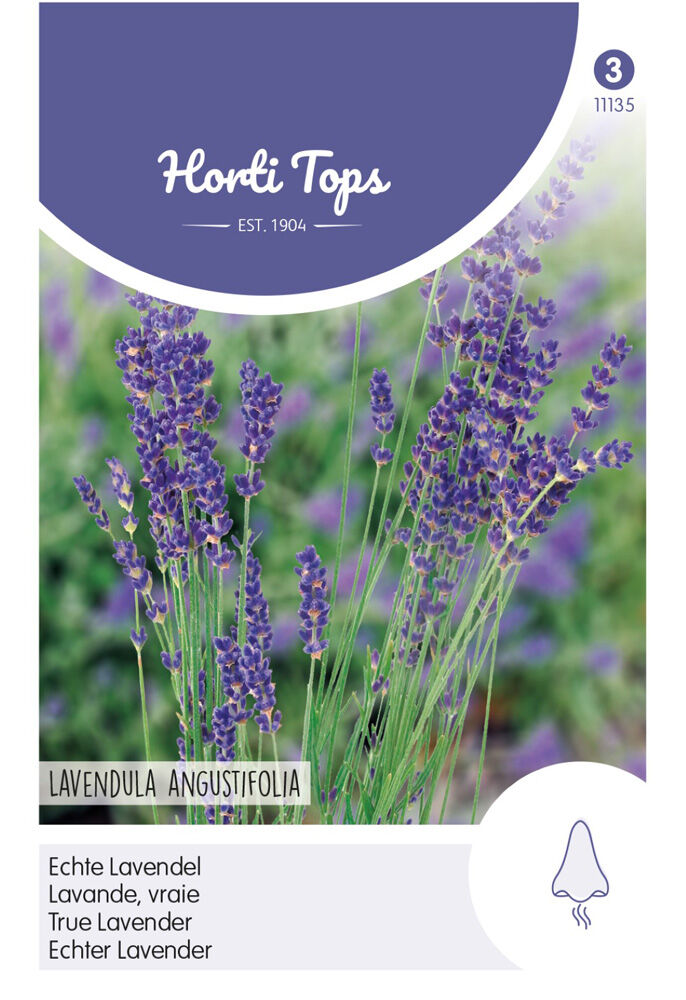 Hortitops Lavendel Lavandula angustifolia Lavandula Officinalis - Kruidenzaden Hortitops Lavendel Lavandula angustifolia Lavandula Officinalis - Kruidenzaden