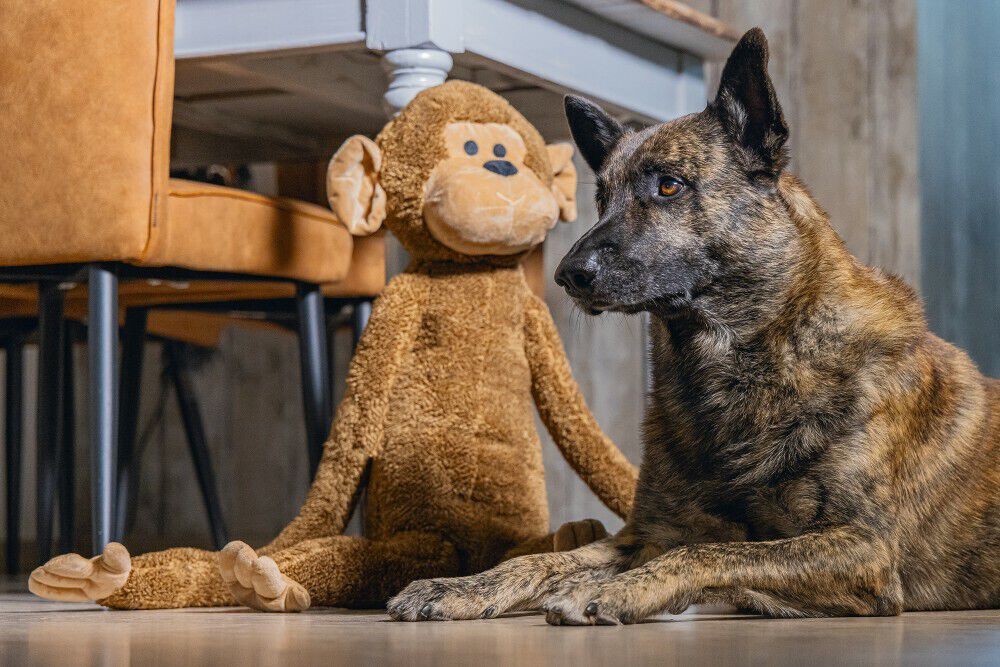 Beeztees Vik Aap Knuffel - Hondenspeelgoed - 20.00 cm - bruin - 30.00 cm - XL - 80.00 cm