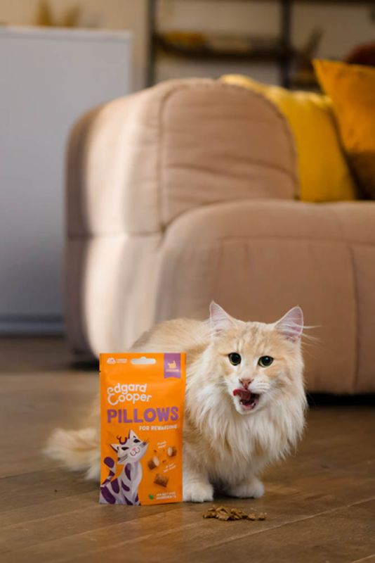 Edgard & Cooper Pillow - Kattensnack - 60 - kip