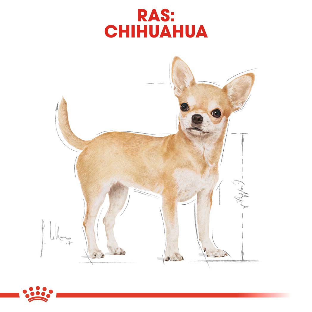 Royal Canin BHN Chihuahua Adult - Hondenvoer - 1500 - gevogelte