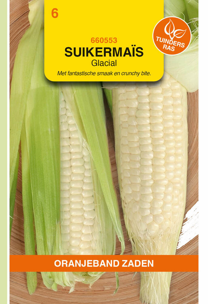 Oranjeband zaden Suikermais  Glacial - Groentezaden Oranjeband zaden Suikermais  Glacial - Groentezaden