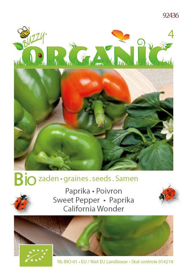 Buzzy Paprika Capsicum Anuum California Wonder - Paprika Buzzy Paprika Capsicum Anuum California Wonder - Paprika