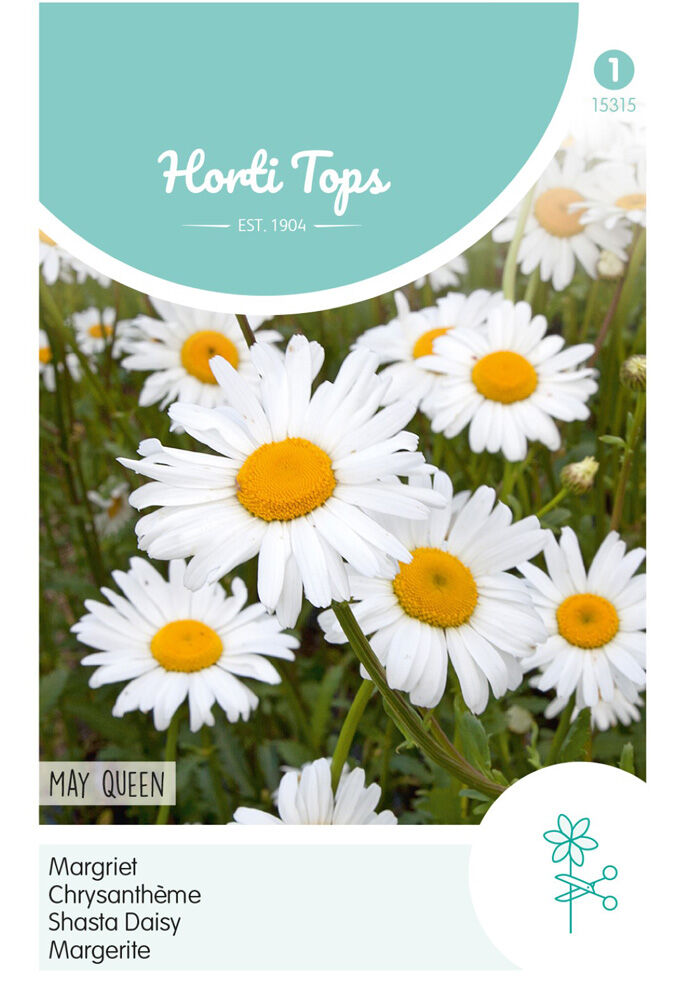 Hortitops Margriet May Queen - Bloemzaden
