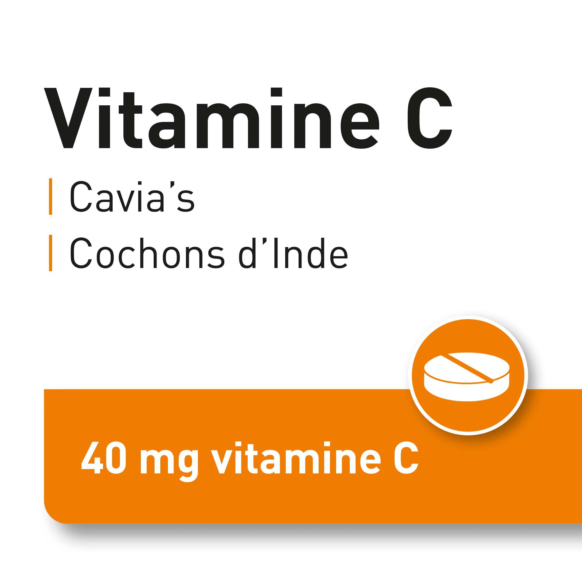 Beaphar Vitamine C tabletten - 7.00x4.50x4.50 cm