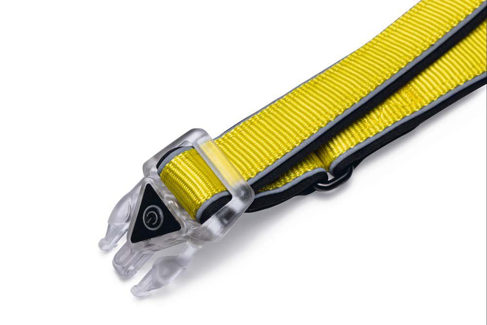 Beeztees Parinca Premium LED - Veiligheidsriem Hond - 80.00 cm - geel - 25 mm - 4.20 cm - 150.00 cm - 4.50 cm