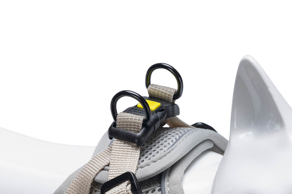 Beeztees Parinca - Kattentuigje - 31 cm - Grijs - S-M