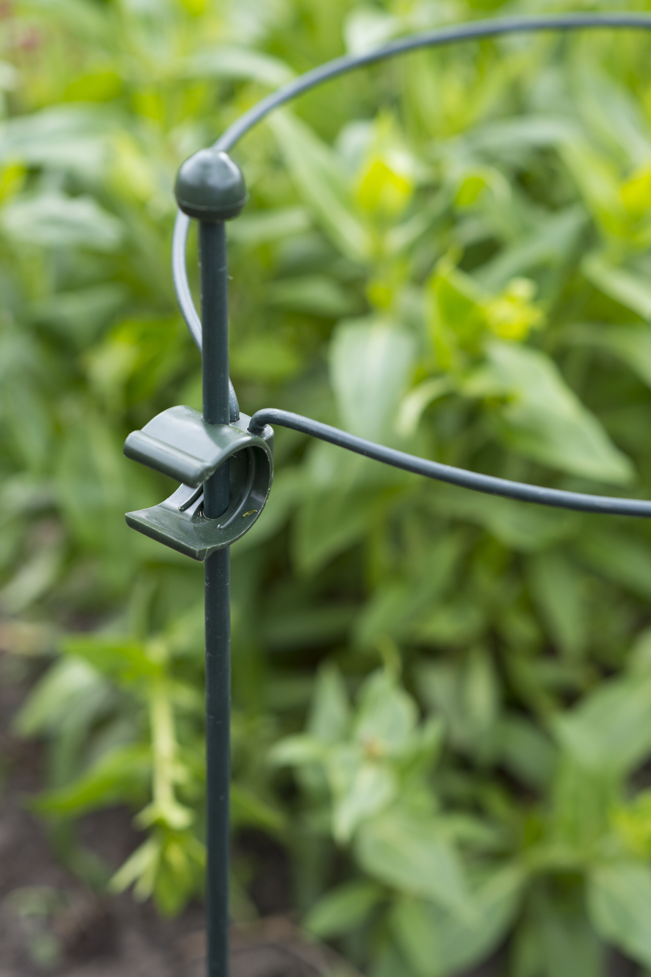Nature Plantenstok Koppelbaar - Klim- en Geleide Artikelen - Plantenstokken - 100 cm - 1 stuk