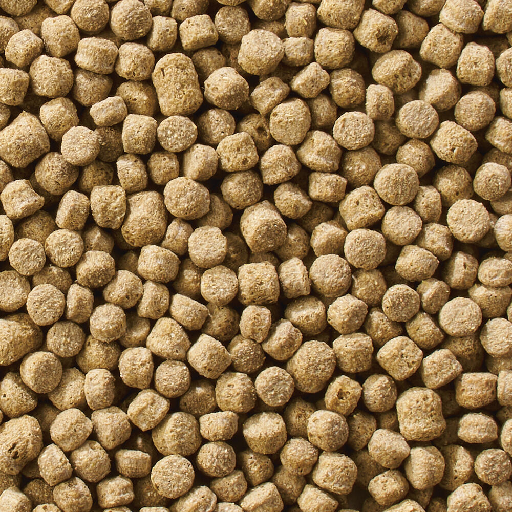 Welkoop Drijvende voeding - Watervogelvoer - 12 kg