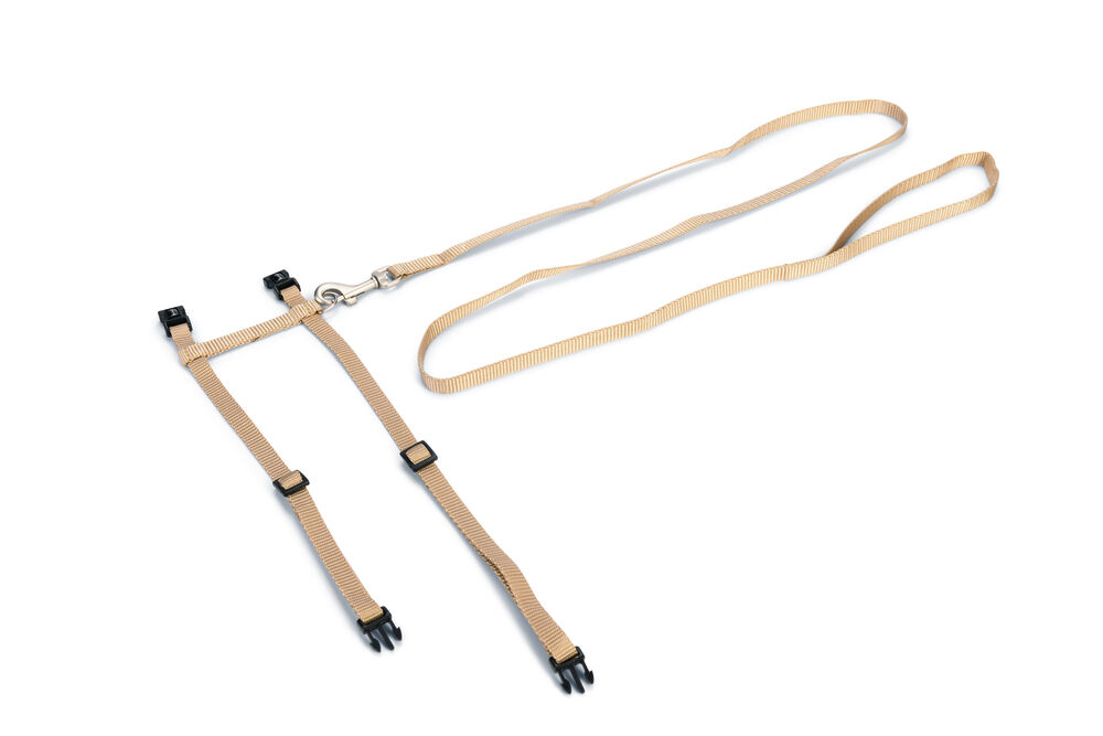 Beeztees - Kattentuigje - Beige - 10 mm