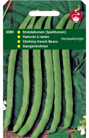 Hortitops Stokspekbonen Phaseolus Vulgaris L. Neckarkönigin (Type Phenomeen) - Groentezaden Hortitops Stokspekbonen Phaseolus Vulgaris L. Neckarkönigin (Type Phenomeen) - Groentezaden