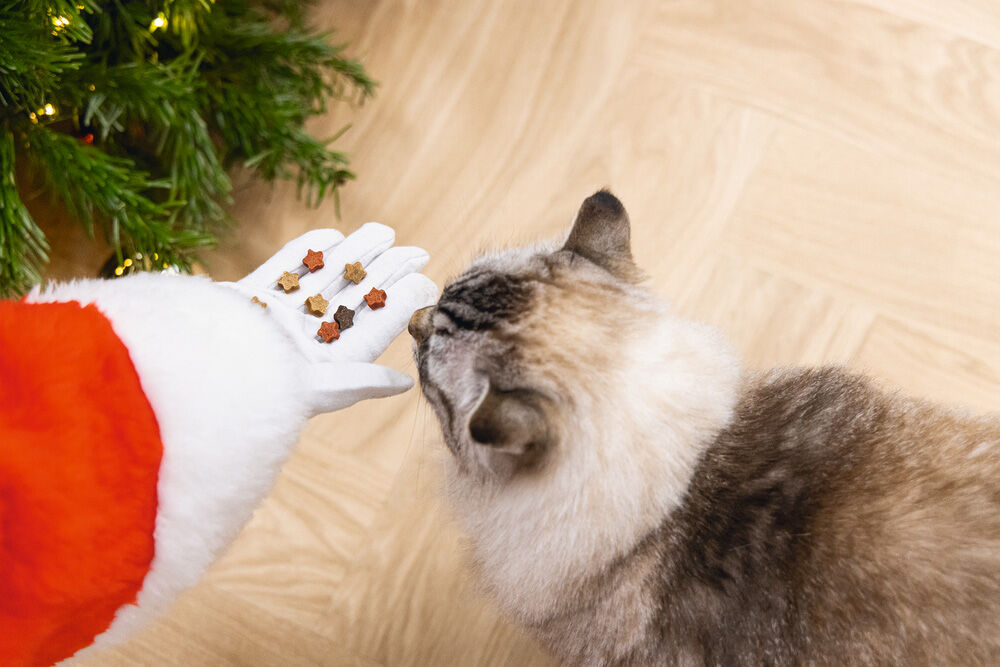 Beeztees Star Mix Granen - Kattensnack - 140 - grill