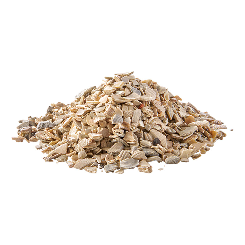 Welkoop Kippengrit - Kippen Supplement - 21.00 cm - 1.50 - 9.70 cm - 9.60 cm