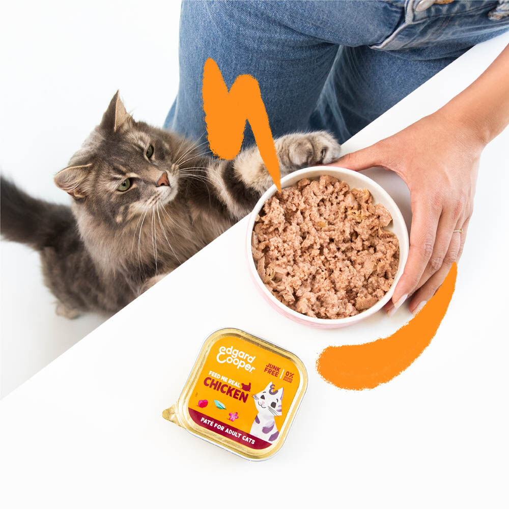 Edgard & Cooper Multipack Paté - Kattenvoer - 8x85 gram - Kip - Zalm - 680 gram