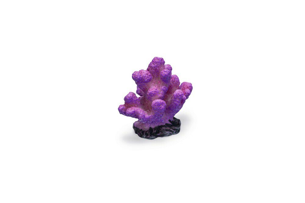 Beeztees Koraal - Aquarium Ornament