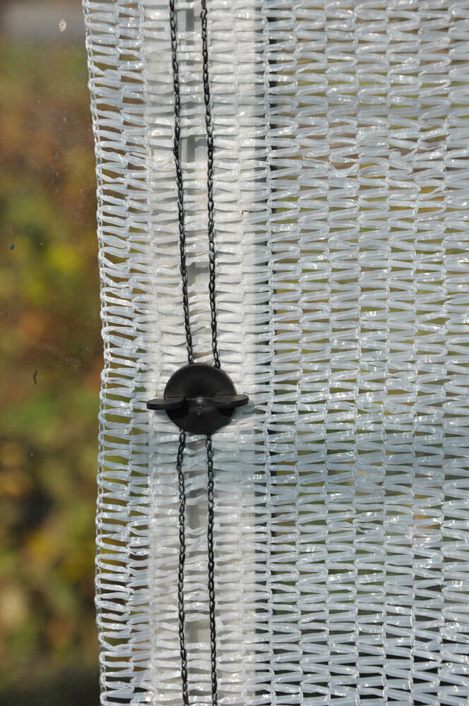 Royal Well Snapshots - Kas accessoire - Zwart - 20.00x9.00x9.00 cm