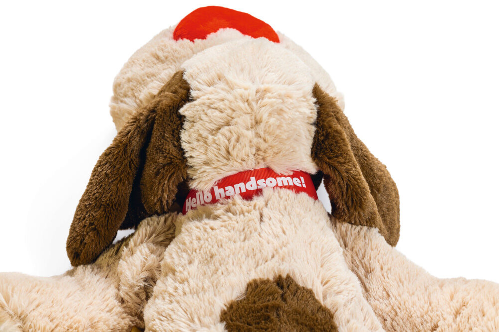 Beeztees Hond Joep - Knuffel - Hondenspeelgoed - Multi - 11x46x48 cm