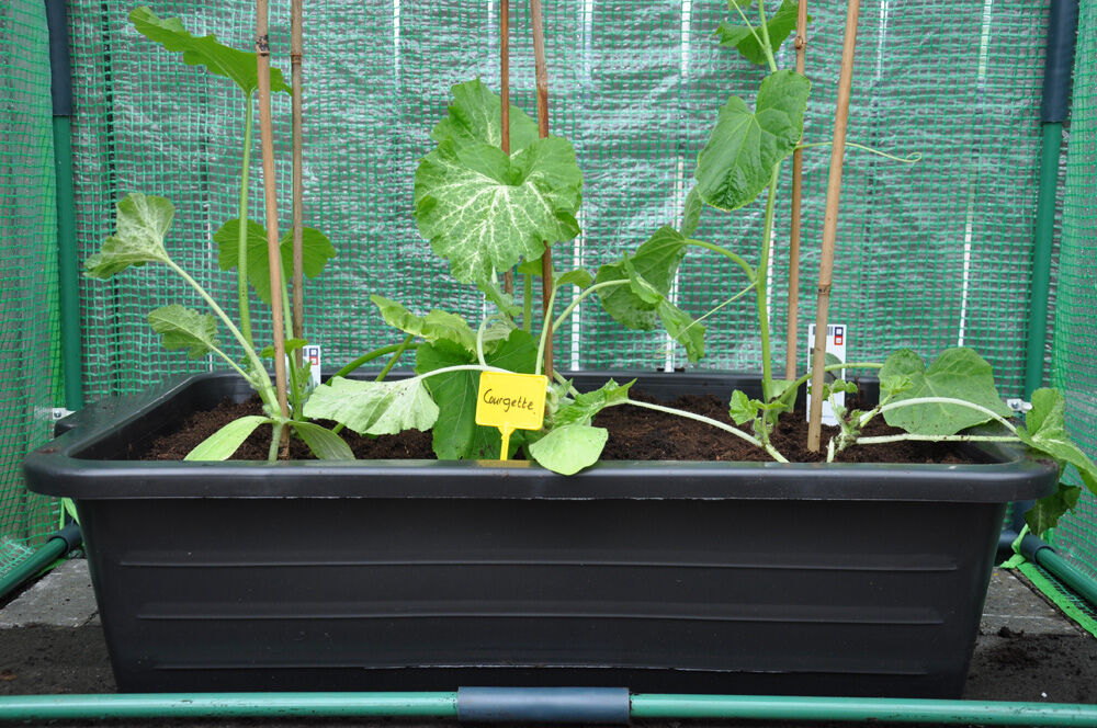 Royal Well Zaaikist 40L  - Kas accessoires - Zwart - 18x40x60 cm