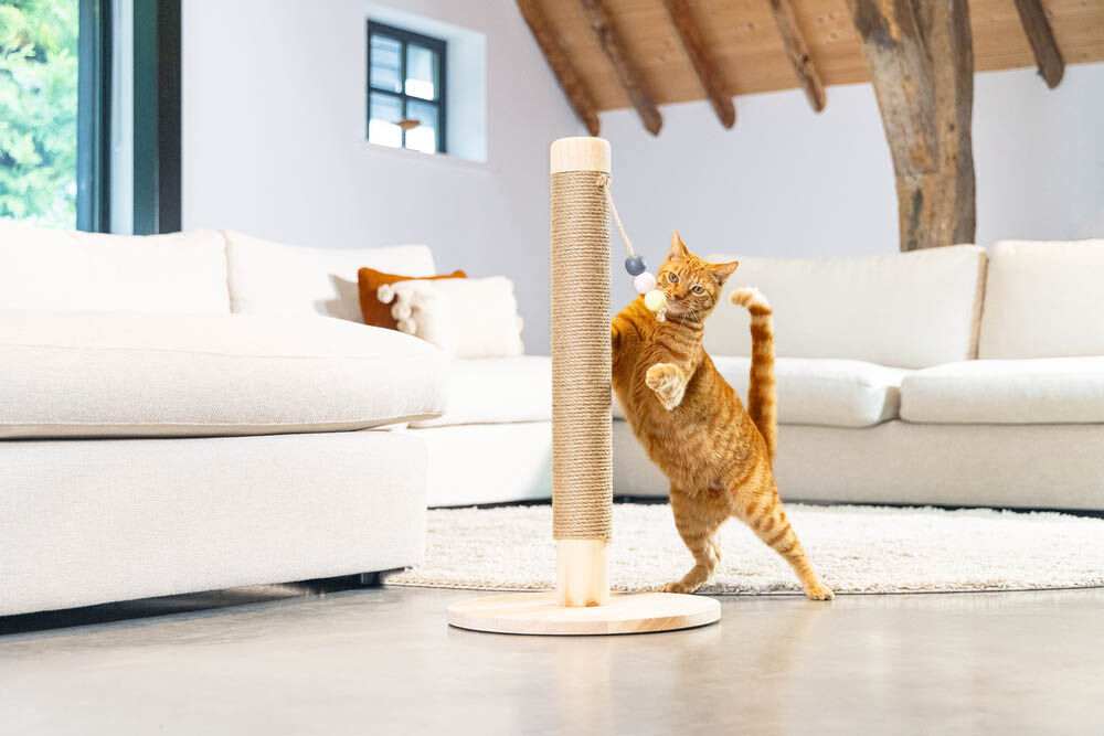 Designed by Lotte Sinora - Krabpaal - Zand - 70.2x40x40 cm