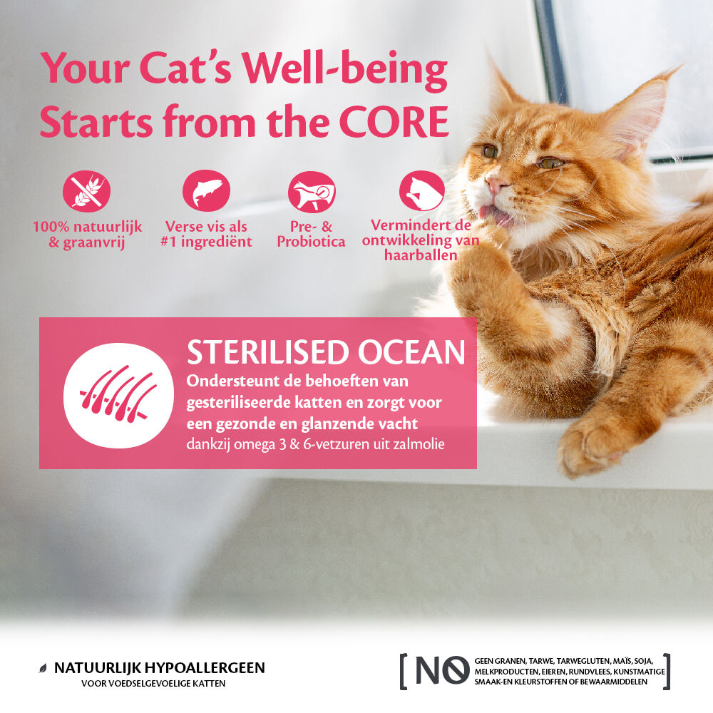 Wellness Core Sterilised Ocean Adult - Kattenvoer - Zalm - 4 kg