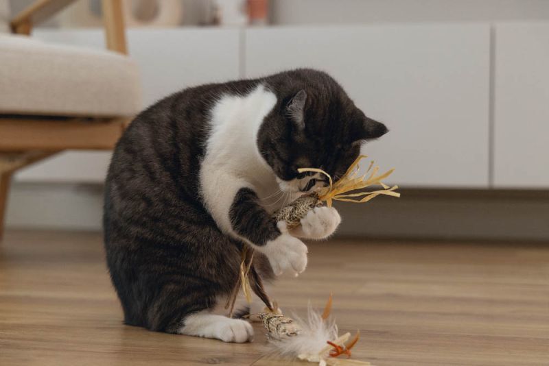 Beeztees Stick Omazo - Kattenspeeltje - Beige