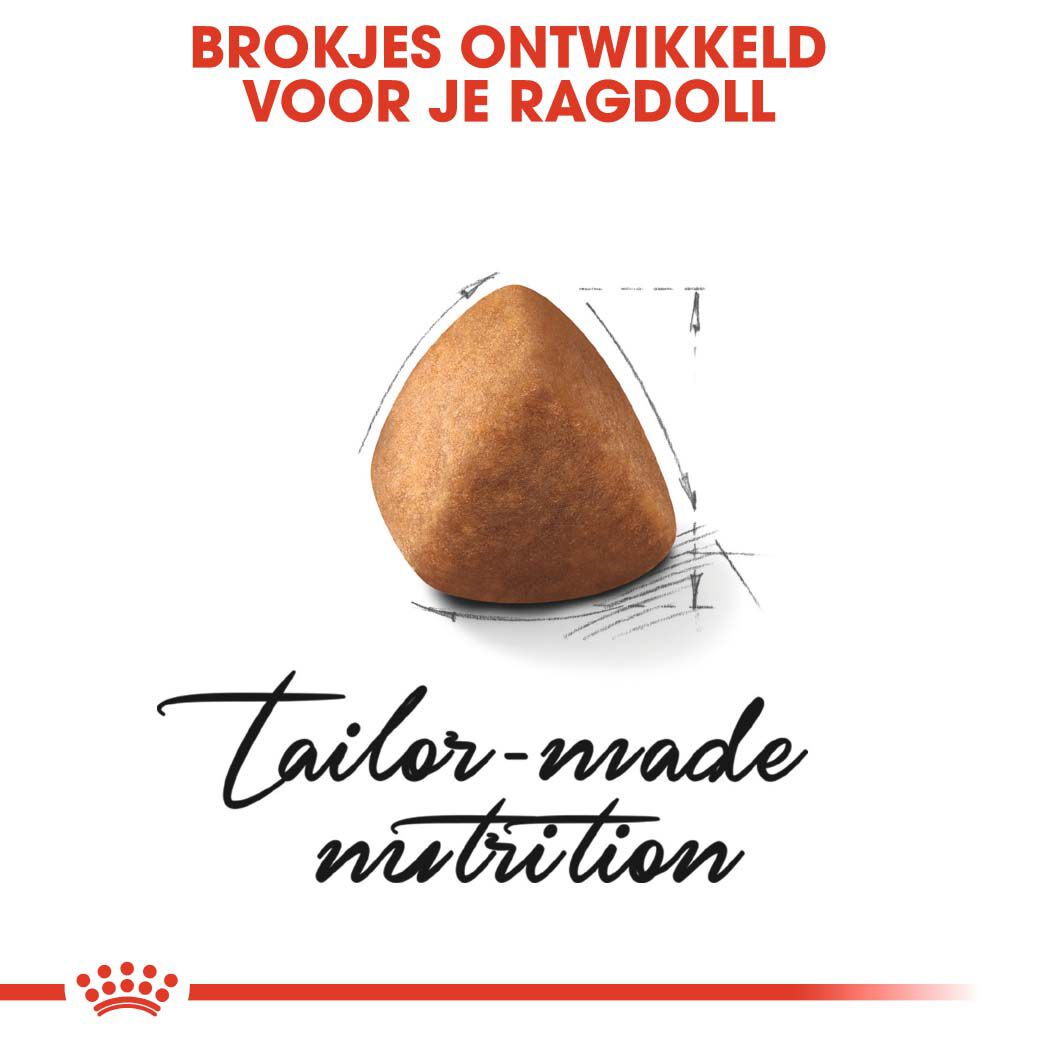 Royal Canin Ragdoll Adult - Kattenvoer - 2 - Gevogelte