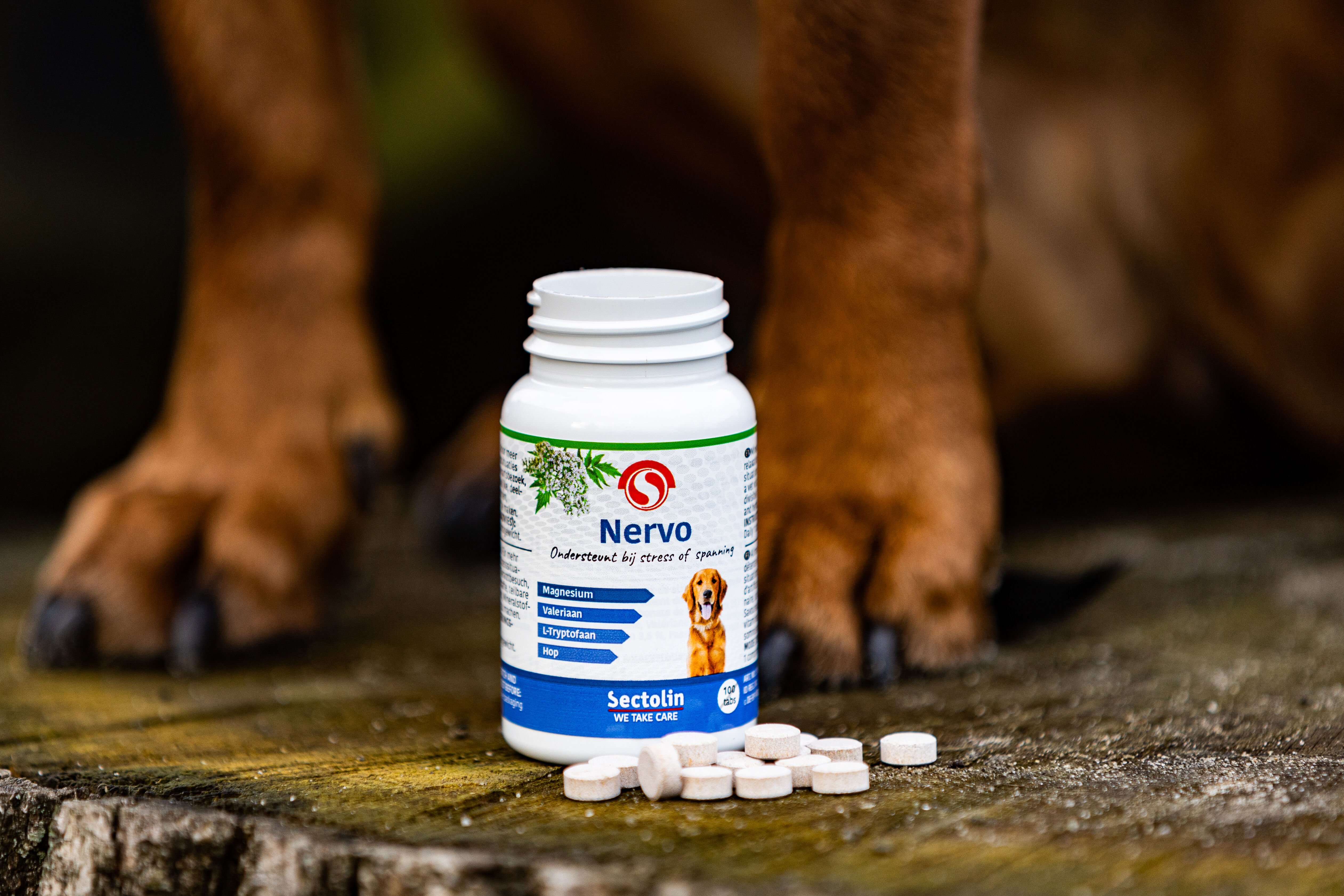 Sectolin Nervo - Kalmeringsmiddel  Hond - 100 - Pot