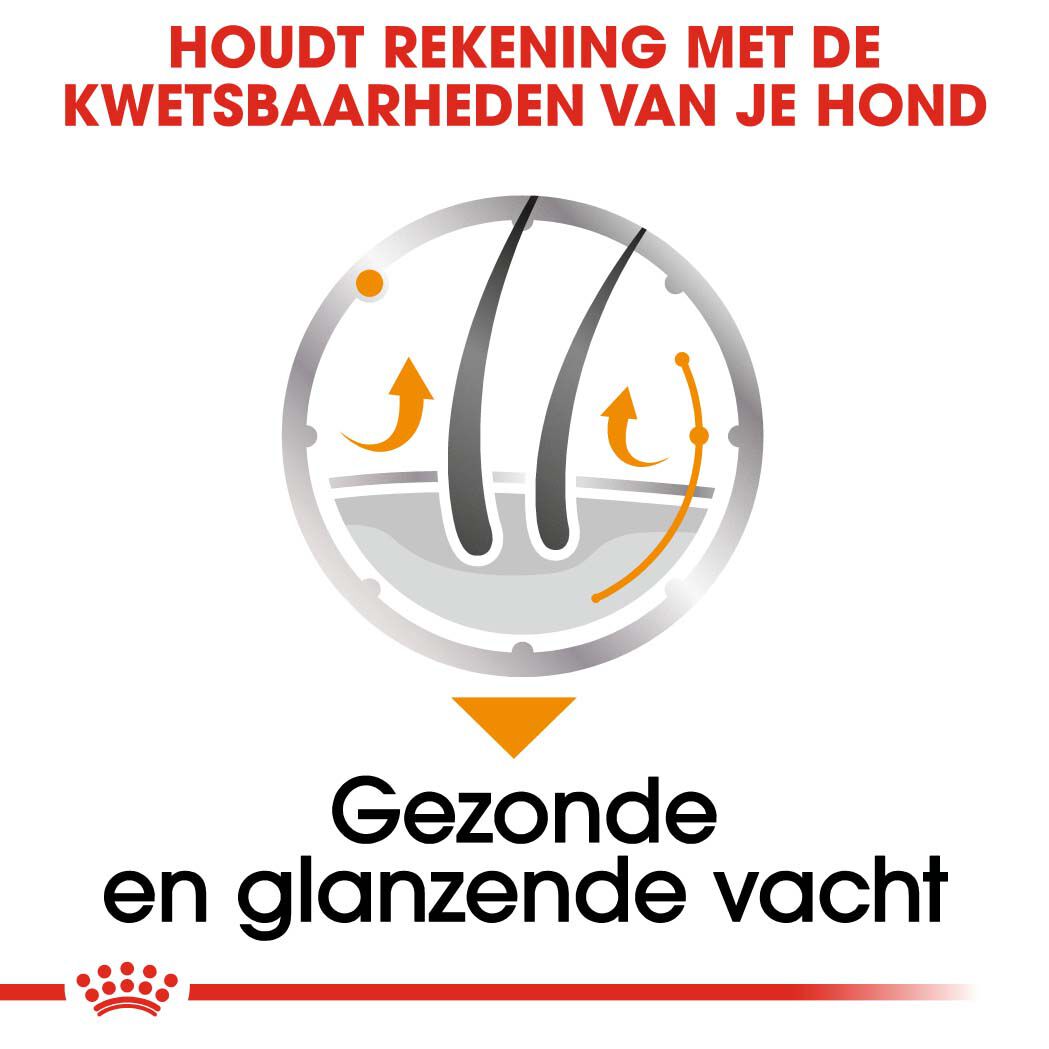 Royal Canin Coat Care Wet - Hondenvoer - 1020 - gevogelte