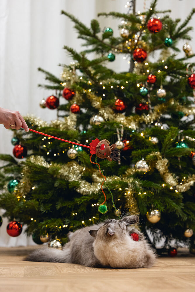 Beeztees Kattenhengel Rendier - Kattenspeeltje - 45 cm