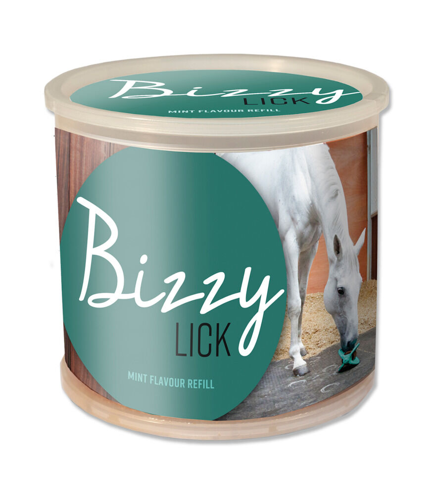 Bizzy Lick - Liksteen Mint - 1.00 - Pot - mint