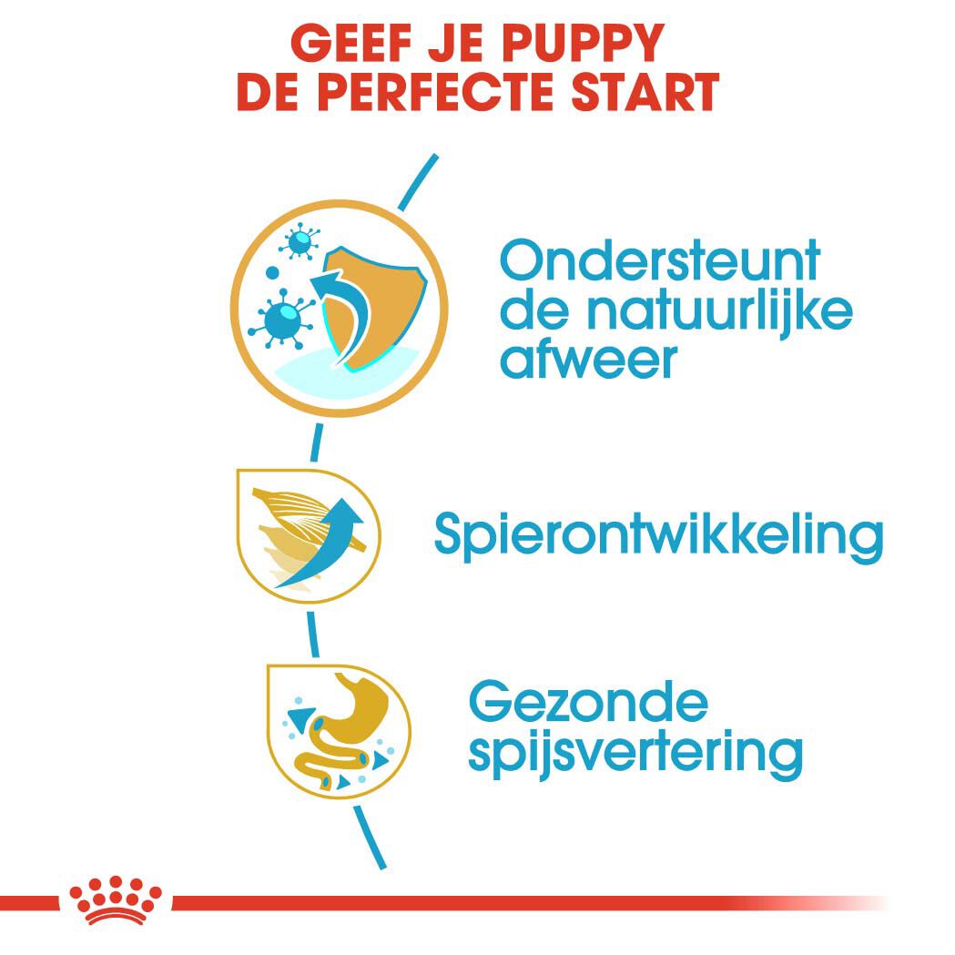 Royal Canin Boxer Junior - Hondenvoer - 12 - gevogelte