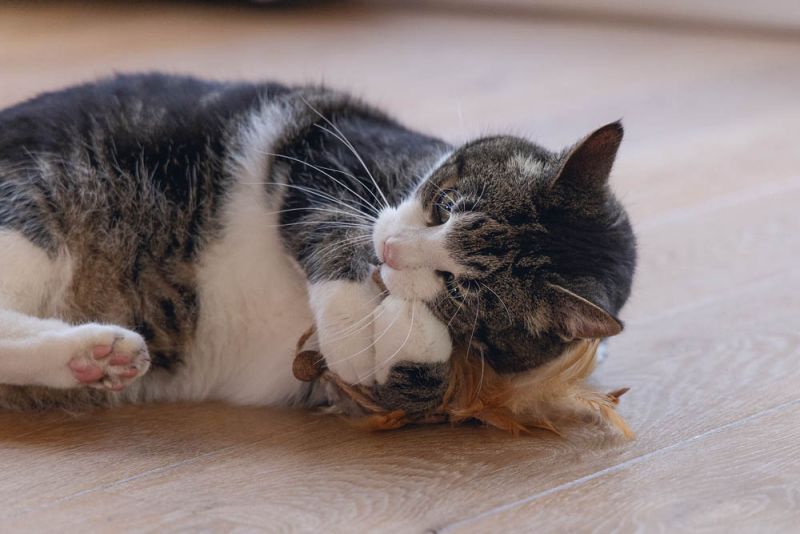 Beeztees Bal Tipy - Kattenspeeltje - Beige